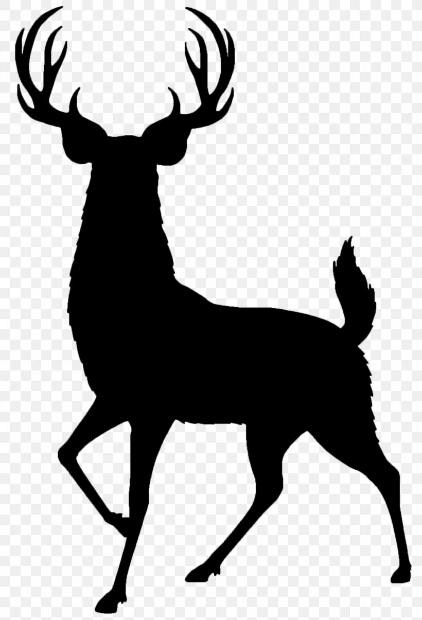 White-tailed Deer Clip Art Red Deer Hunting, PNG, 1280x1881px, Deer, Antelope, Antler, Art, Blackandwhite Download Free