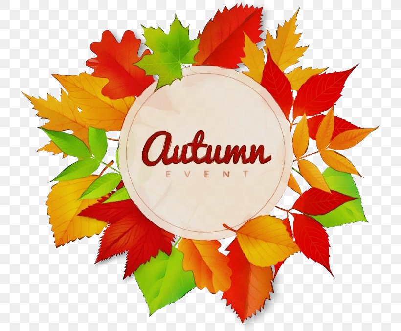 Autumn Maple, PNG, 734x677px, Watercolor, Autumn, Event Management, Festival, Leaf Download Free