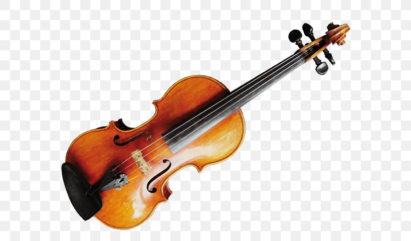 Violin String Instruments Musical Instruments Viola, PNG, 620x480px, Violin, Acoustic Electric Guitar, Bass Guitar, Bass Violin, Bowed String Instrument Download Free