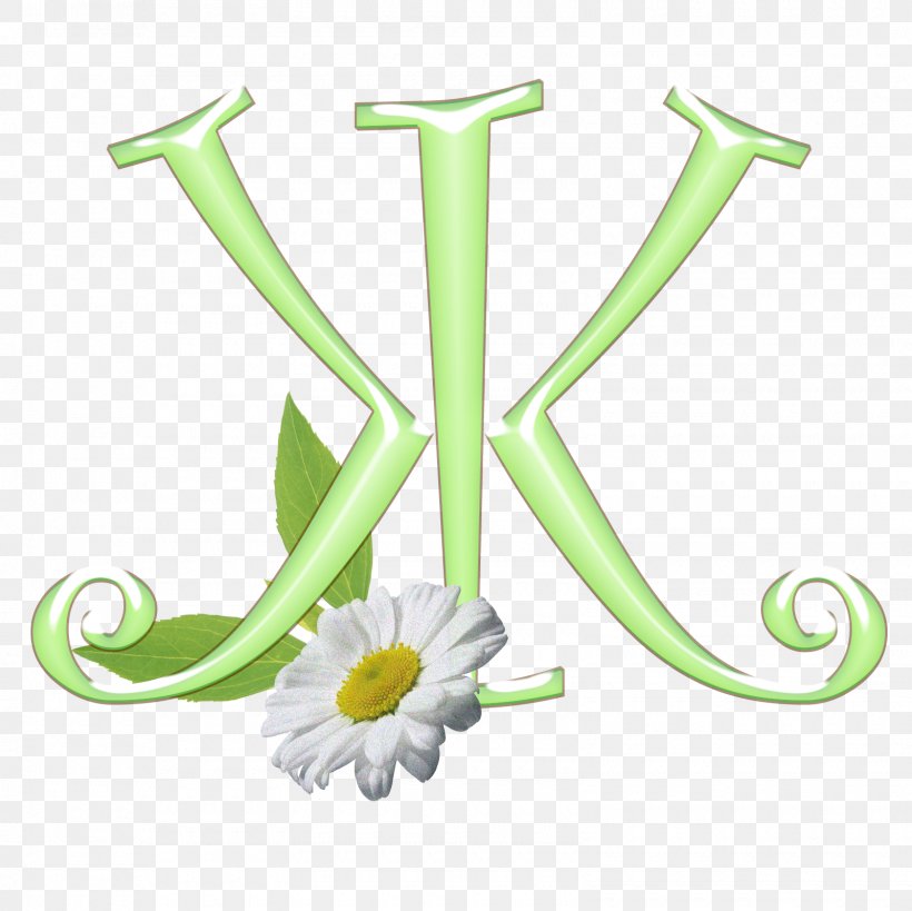 Boo Alphabet Green Flower Font, PNG, 1600x1600px, Boo, Alphabet, Black, Flower, Grass Download Free