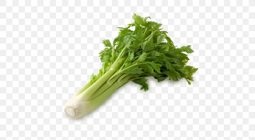 Celery Coriander Food Pot-au-feu Celeriac, PNG, 600x450px, Celery, Apiaceae, Body, Celeriac, Coriander Download Free