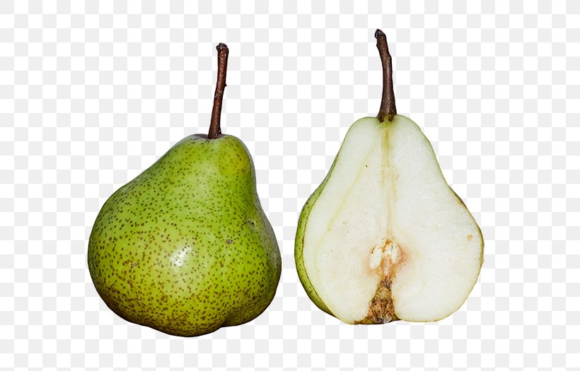 Shipova Gymnosporangium Fruit Asian Pear Food, PNG, 787x525px, Shipova, Apple, Asian Pear, Avocado, Eating Download Free