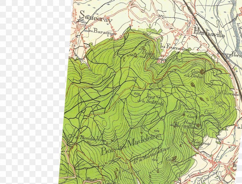 Map Ecoregion Tree Tuberculosis, PNG, 3000x2284px, Map, Ecoregion, Grass, Tree, Tuberculosis Download Free