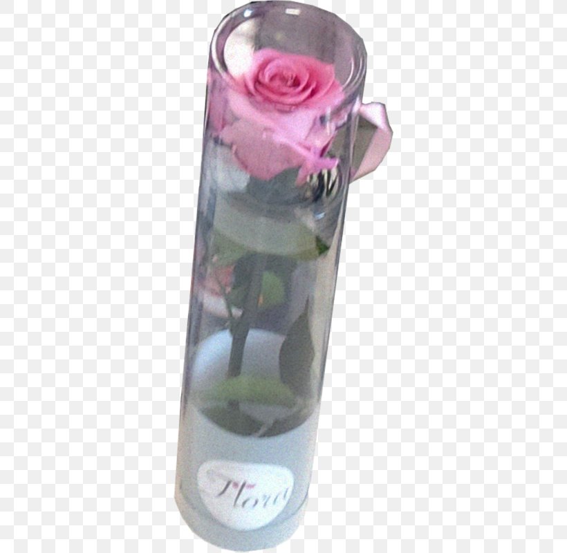 Archiwum Allegro Cut Flowers Rose Róża Mini Kwiat Wiecznie żywy 2 Lata Trwałości, PNG, 318x800px, Cut Flowers, Allegro, Bottle, Drinkware, Flower Download Free