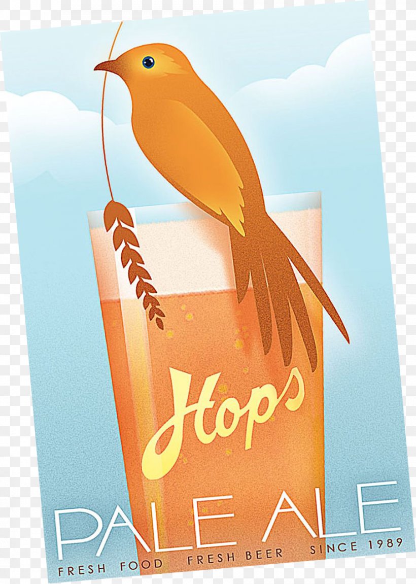 Beer Pale Ale Brewery Hops, PNG, 902x1267px, Beer, Advertising, Alcoholic Drink, Ale, Beak Download Free