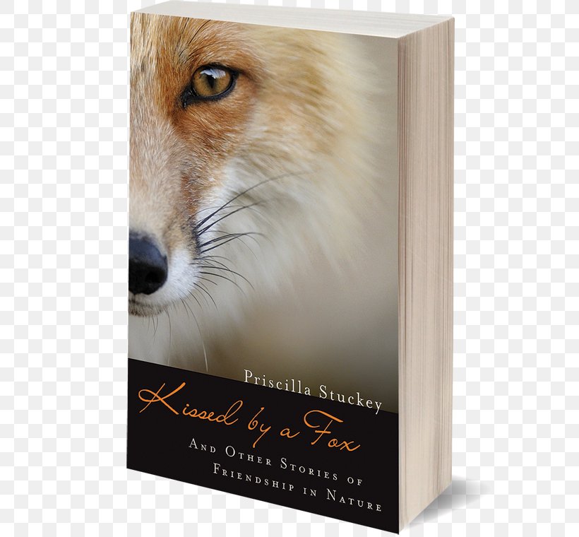 Kissed By A Fox: And Other Stories Of Friendship In Nature Book Snout, PNG, 575x760px, Fox, Book, Dog Like Mammal, Nature, Snout Download Free