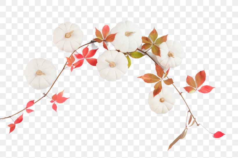 Cherry Blossom, PNG, 2456x1628px, White, Blossom, Branch, Cherry Blossom, Flower Download Free