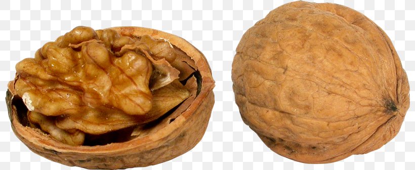 English Walnut Nuts Clip Art, PNG, 800x336px, Nut, Acorn, Cashew, Dried Fruit, English Walnut Download Free