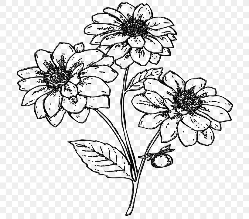 Floral Design Flower Line Art Watercolor Painting Clip Art, PNG, 720x720px, Floral Design, Art, Artwork, Black And White, Chrysanths Download Free