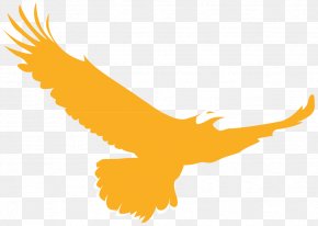Eagle - Golden Eagle Logo Bird PNG