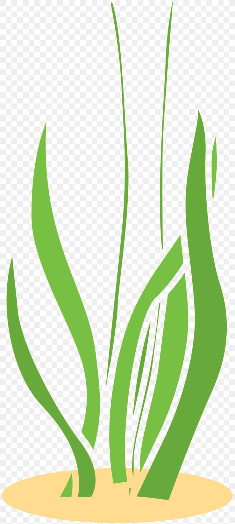 Grasses Clip Art Plant Stem Commodity Product Design, PNG, 853x1897px, Grasses, Botany, Commodity, Flower, Grass Download Free