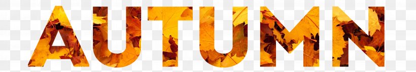 Text Autumn Fall Leaf Project Clip Art, PNG, 4517x788px, Text, Autumn, Autumn Leaf Color, Color, Drawing Download Free