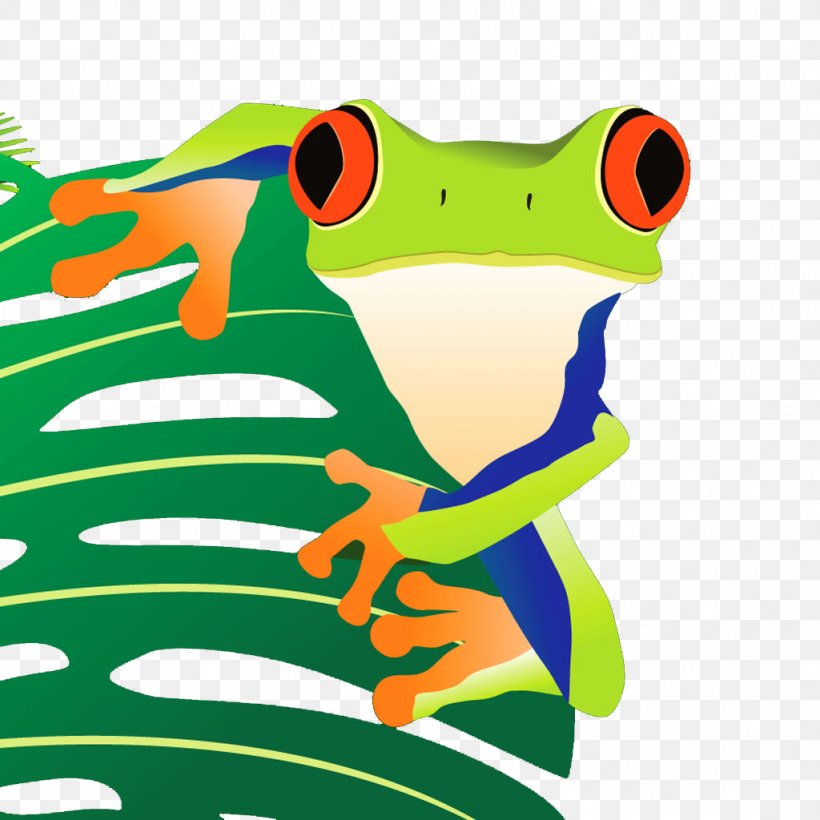 Tree Frog True Frog Toad, PNG, 1024x1024px, Tree Frog, Amphibian, Art, Frog, Google Images Download Free