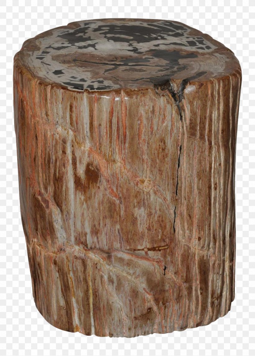 Coffee Tables Petrified Wood Petrifaction, PNG, 1248x1738px, Table, Artifact, Chairish, Coffee Tables, End Table Download Free