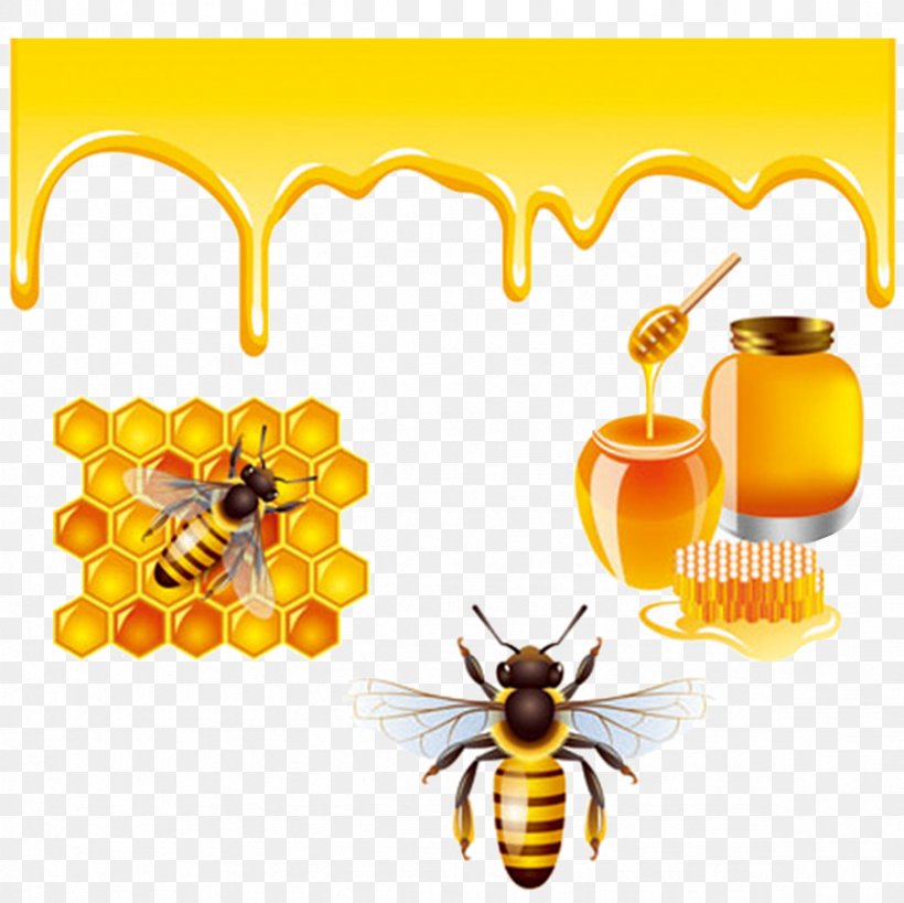 Honey Bee Royalty-free, PNG, 2362x2362px, Bee, Cdr, Flower, Honey, Honey Bee Download Free