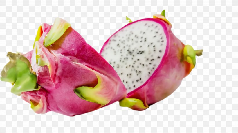 Pink Flower Cartoon, PNG, 2664x1500px, Watercolor, Cactus, Closeup, Costa Rican Pitahaya, Dragonfruit Download Free