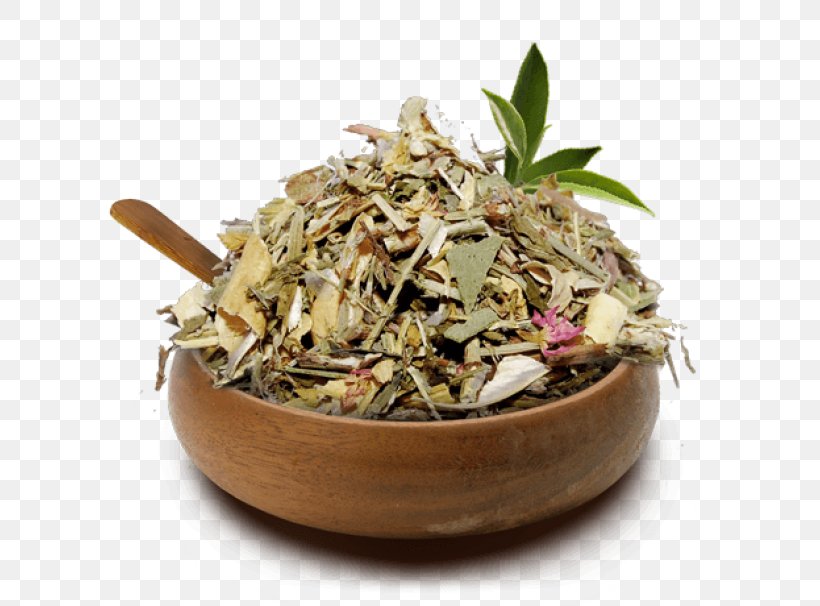Teapot Hōjicha Diabetes Mellitus Medicinal Plants, PNG, 700x606px, Tea, Combat, Diabetes Mellitus, Dianhong, Dish Download Free