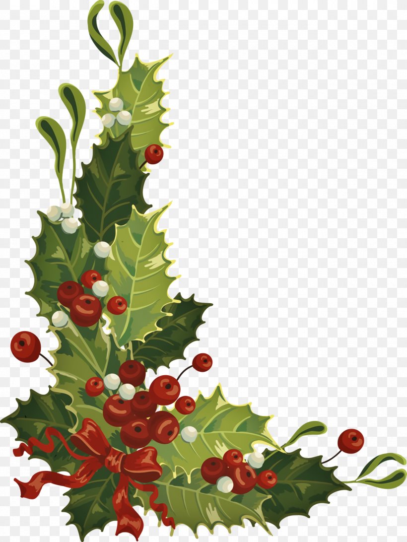 Christmas Holly Ilex Holly, PNG, 1300x1732px, Christmas Holly, American Holly, Branch, Chinese Hawthorn, Christmas Download Free