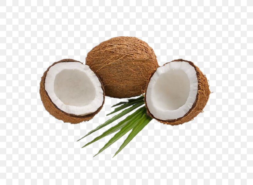 Coconut Water Coconut Milk Nata De Coco, PNG, 600x600px, Coconut Water, Coconut, Coconut Milk, Coconut Milk Powder, Coconut Oil Download Free