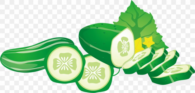 Cucumber Vegetable Euclidean Vector Fruit, PNG, 985x471px, Cucumber, Auglis, Citrus, Diet Food, Drawing Download Free