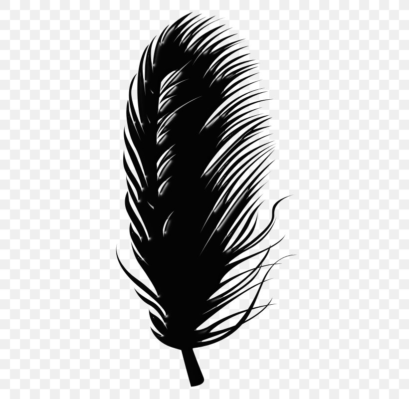 Feather Leaf Paper Chemical Element Blog, PNG, 400x800px, Feather, Blackandwhite, Blog, Chemical Element, Digital Paper Download Free