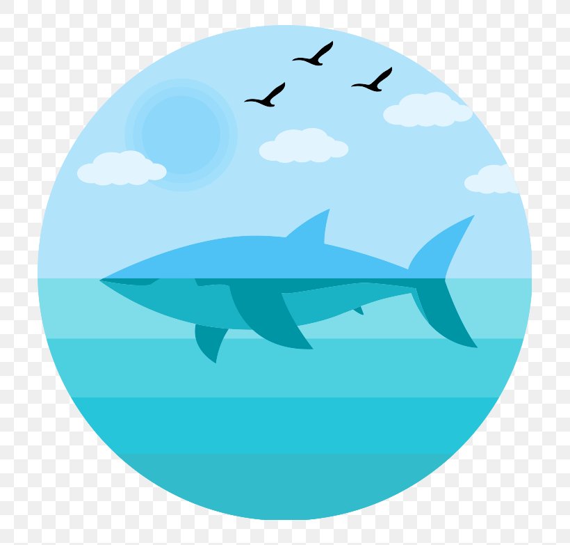 Shark, PNG, 783x783px, Shark, Aqua, Azure, Blue, Dolphin Download Free