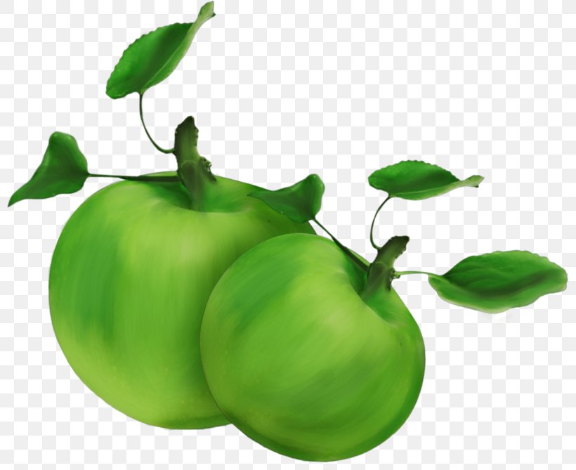 Apple Green Food Fruit Clip Art, PNG, 800x669px, Apple, Auglis, Berry, Food, Fruit Download Free