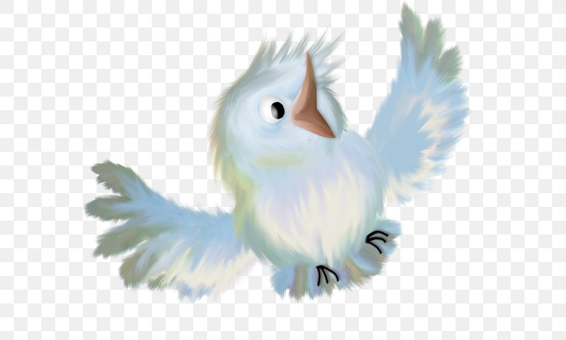 Bird, PNG, 640x493px, Bird, Beak, Bird Of Prey, Cartoon, Drawing Download Free