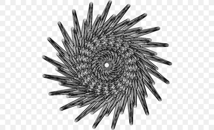 Circle, PNG, 500x500px, Shape, Art, Black And White, Cdr, Geometry Download Free