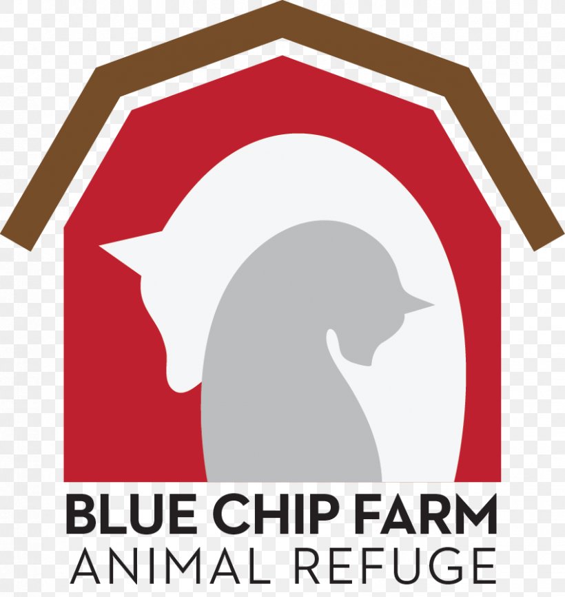 blue chip dog rescue