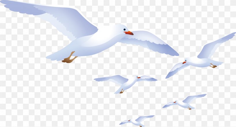 European Herring Gull Bird Gulls Crane Euclidean Vector, PNG, 2268x1221px, Bird, Anatidae, Animal, Beak, Charadriiformes Download Free