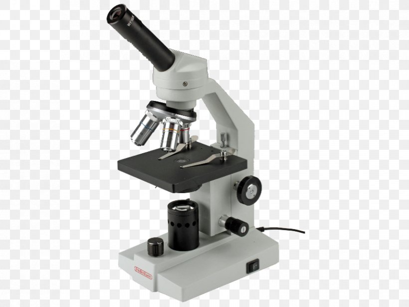 Scanning Tunneling Microscope Invention Optical Microscope Monocular, PNG, 852x639px, Microscope, Biology, Cell Theory, Echipament De Laborator, Invention Download Free