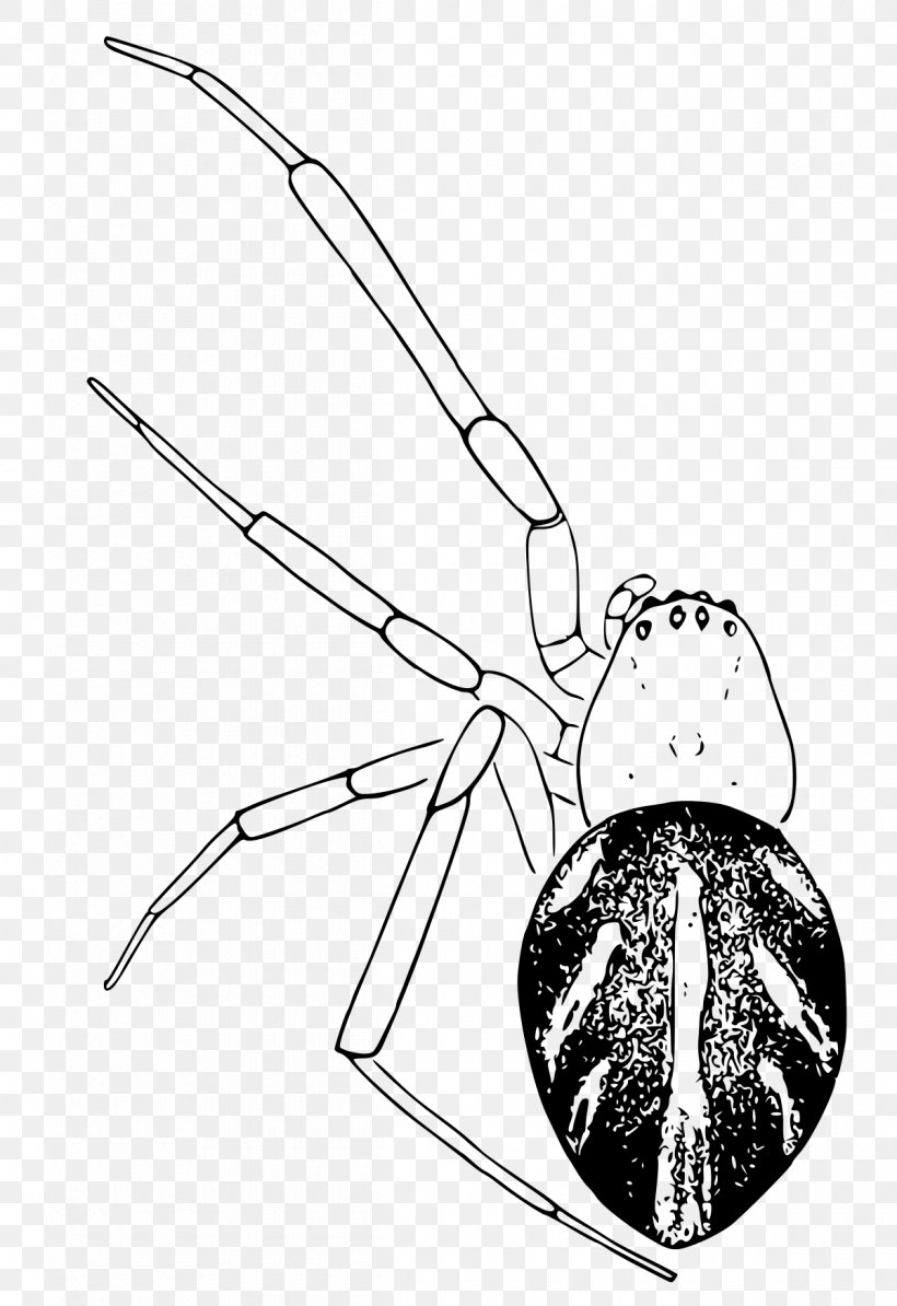 Spider Southern Black Widow Latrodectus Curacaviensis Brown Widow Latrodectus Bishopi, PNG, 1200x1748px, Spider, Arachnid, Arthropod, Black And White, Brown Widow Download Free