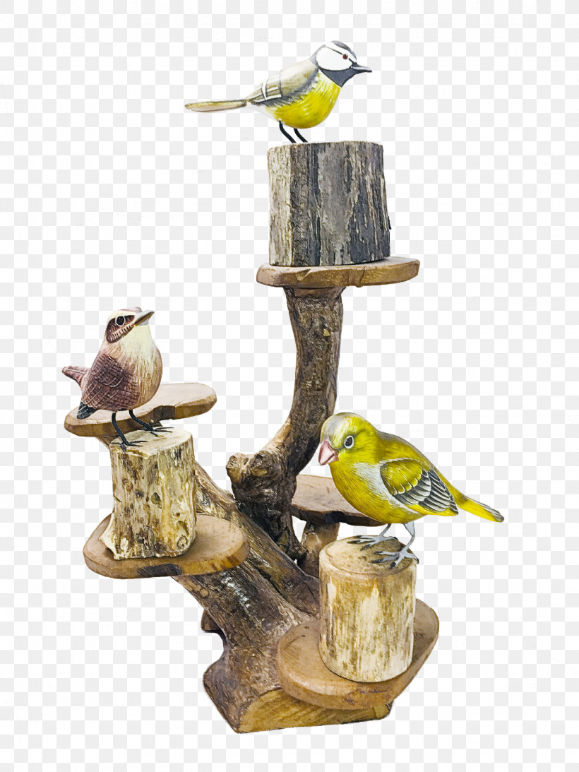 Birds Biology Science, PNG, 1536x2048px, Birds, Biology, Science Download Free