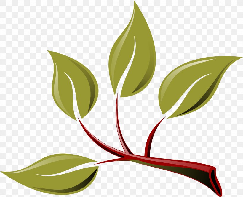 Branch Leaf Clip Art, PNG, 2324x1895px, Branch, Cartoon, Drawing, Flora, Flower Download Free