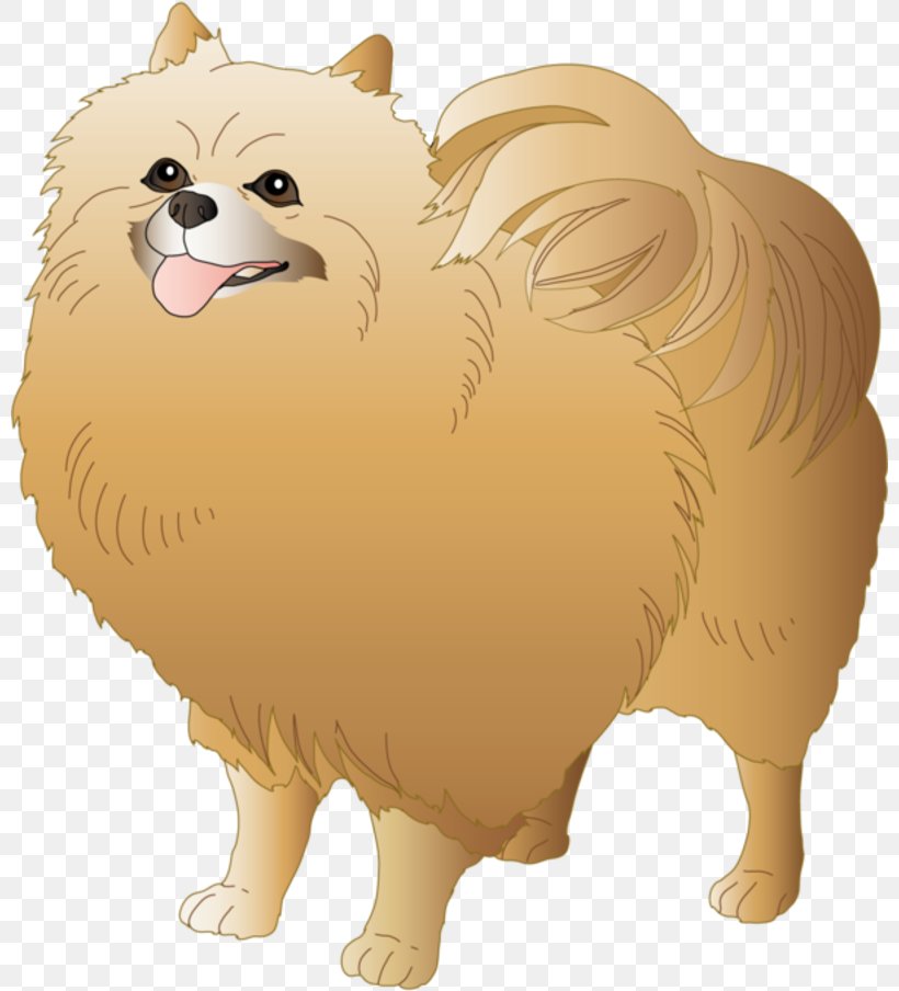 Dog Drawing, PNG, 800x904px, German Spitz Klein, Animal, Animal Figure, Blog, Breed Download Free