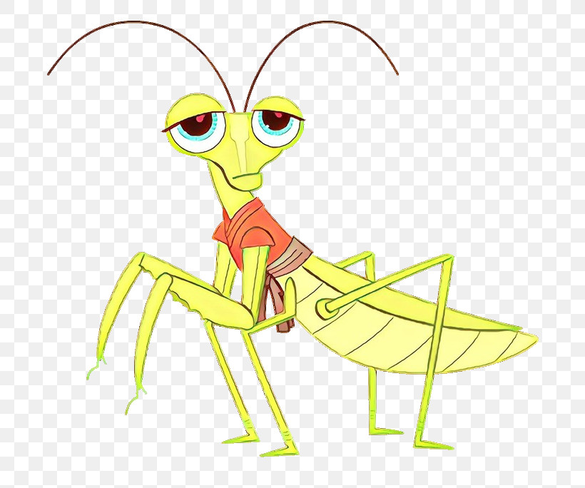 Insect Mantidae Grasshopper Cartoon Mantis, PNG, 749x684px, Insect, Cartoon, Cricketlike Insect, Grasshopper, Mantidae Download Free
