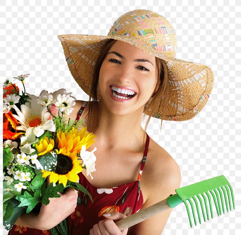 Naver Blog Spring Safety, PNG, 800x800px, Blog, Accident, Flower, Happiness, Hat Download Free