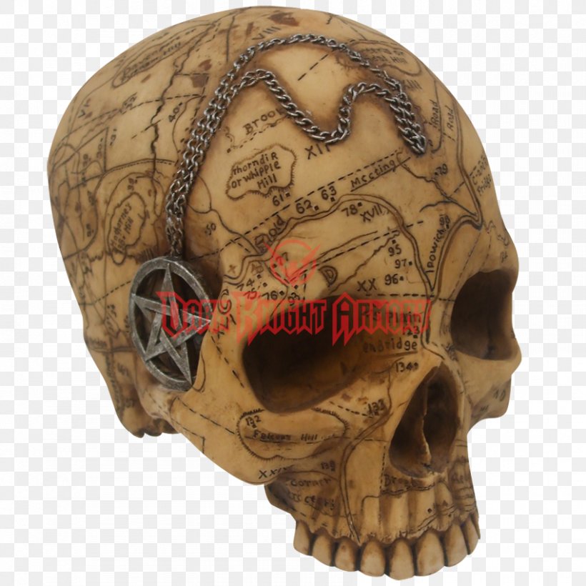 Salem Witch Trials Skull Witchcraft Wicca, PNG, 850x850px, Salem, Altar, Bone, Hoodoo, Jaw Download Free