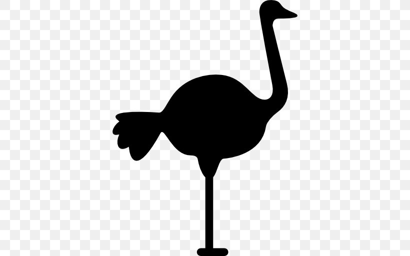 Common Ostrich Bird Clip Art, PNG, 512x512px, Common Ostrich, Beak, Bird, Black And White, Drawing Download Free