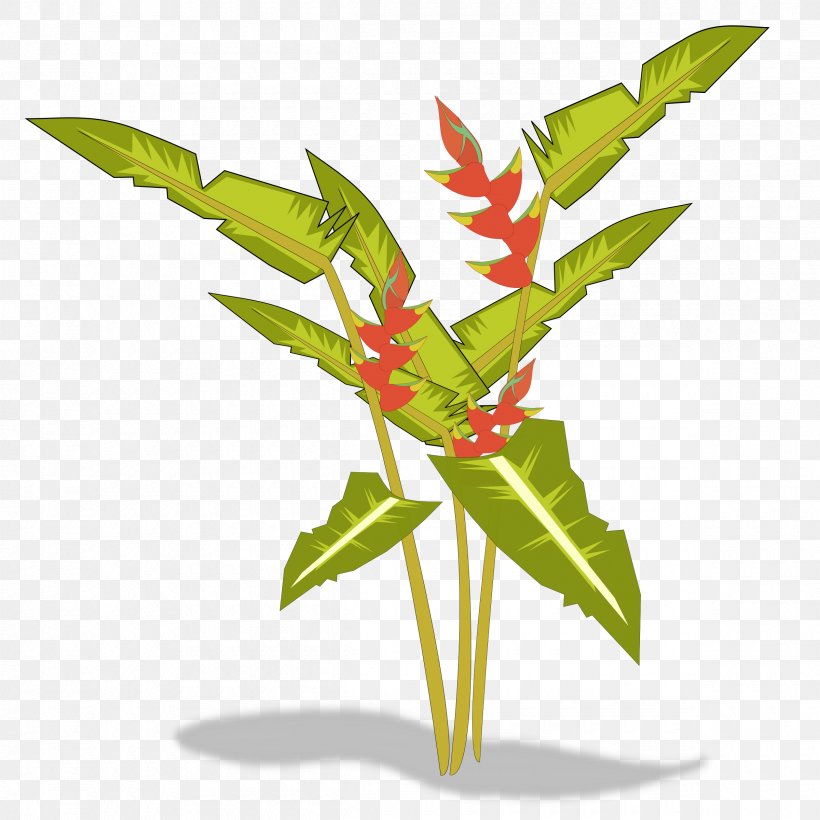 Bird Of Paradise Flower Heliconia Psittacorum Plant Clip Art, PNG, 2400x2400px, Bird Of Paradise Flower, Drawing, Flower, Flowerpot, Heliconia Psittacorum Download Free