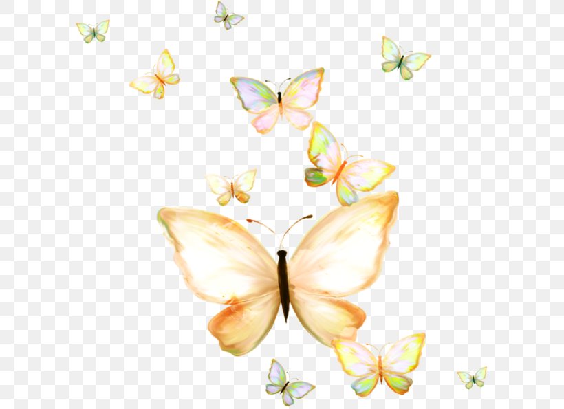 Butterfly Papillon Dog Nymphalidae Clip Art, PNG, 600x595px, Butterfly, Blog, Brush Footed Butterfly, Butterflies And Moths, Flower Download Free