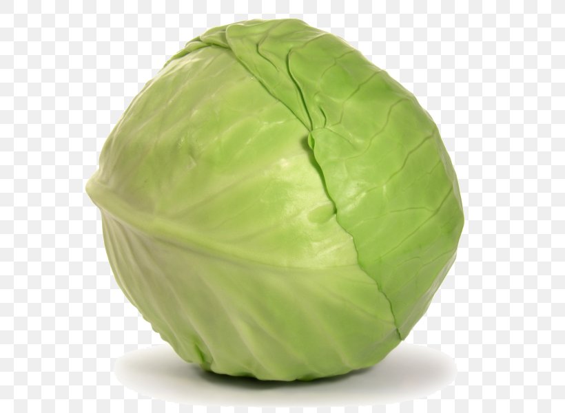 Cabbage Leaf Vegetable Torshi Green, PNG, 800x600px, Cabbage, Bell Pepper, Black Pepper, Cauliflower, Collard Greens Download Free