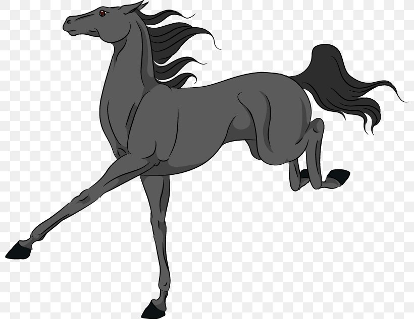 Mane Pony Foal Mustang Stallion, PNG, 800x633px, Mane, Animal Figure, Black And White, Carnivoran, Colt Download Free