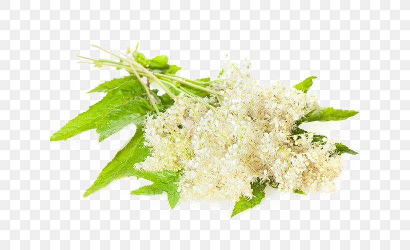 Meadowsweet Herb Royalty-free Medicine Image, PNG, 640x500px, Meadowsweet, Alternative Health Services, Commodity, Dish, Extract Download Free