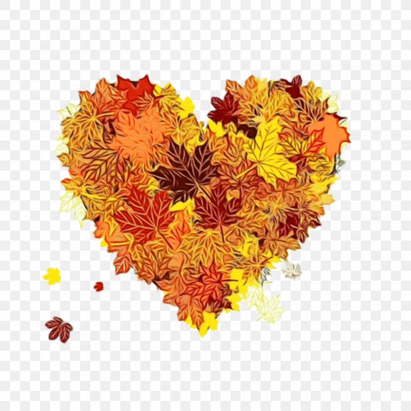 Orange, PNG, 980x980px, Watercolor, Cut Flowers, English Marigold, Flower, Heart Download Free
