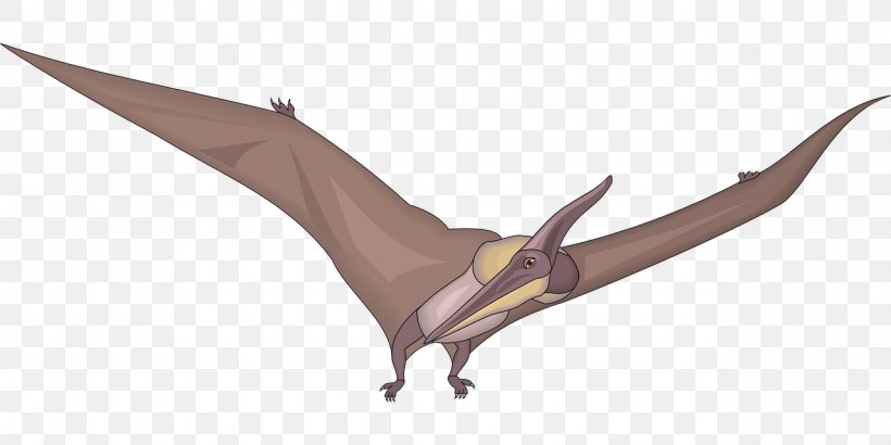 Pteranodon Dinosaur Pterosaurs Clip Art, PNG, 1280x640px, Pteranodon, Brontosaurus, Cretaceous, Dinosaur, Pterosaurs Download Free