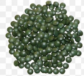 spirulina images spirulina transparent png free download spirulina transparent png