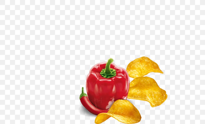 Habanero Cayenne Pepper Bell Pepper Chili Pepper Vegetarian Cuisine, PNG, 521x497px, Habanero, Bell Pepper, Bell Peppers And Chili Peppers, Capsicum, Cayenne Pepper Download Free