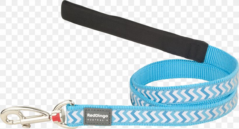 Leash Dingo Chihuahua Puppy Cat, PNG, 3000x1619px, Leash, Blue, Cat, Chihuahua, Collar Download Free